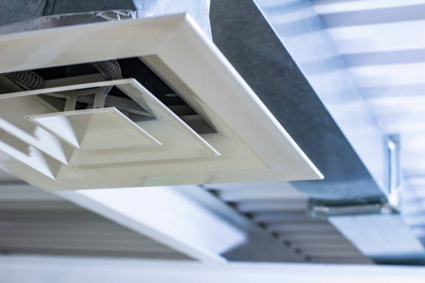 Best Affordable Duct Cleaning Services  in Leona Valley, CA